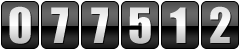 web counter