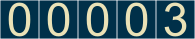 hits counter